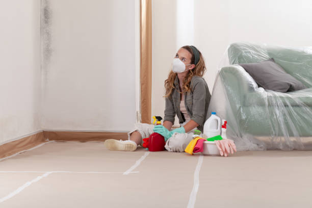 Reliable Mold Remediation contractor in Clifton, VA by Cheap Mold Removal